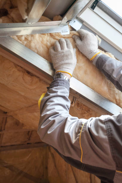 Best Insulation Repair Services  in Nanakuli, HI