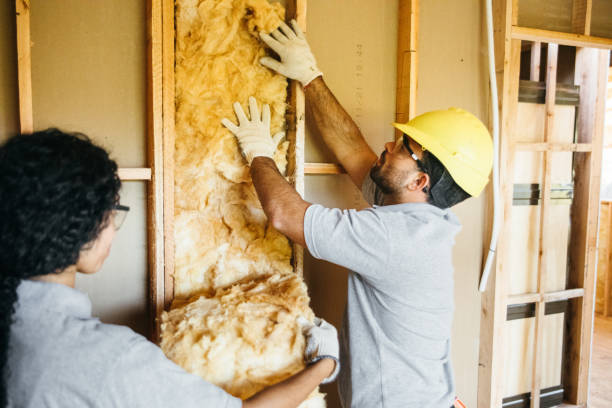 Best Garage Insulation Installation  in Nanakuli, HI