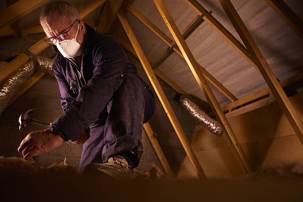 Garage Insulation Installation in Nanakuli, HI